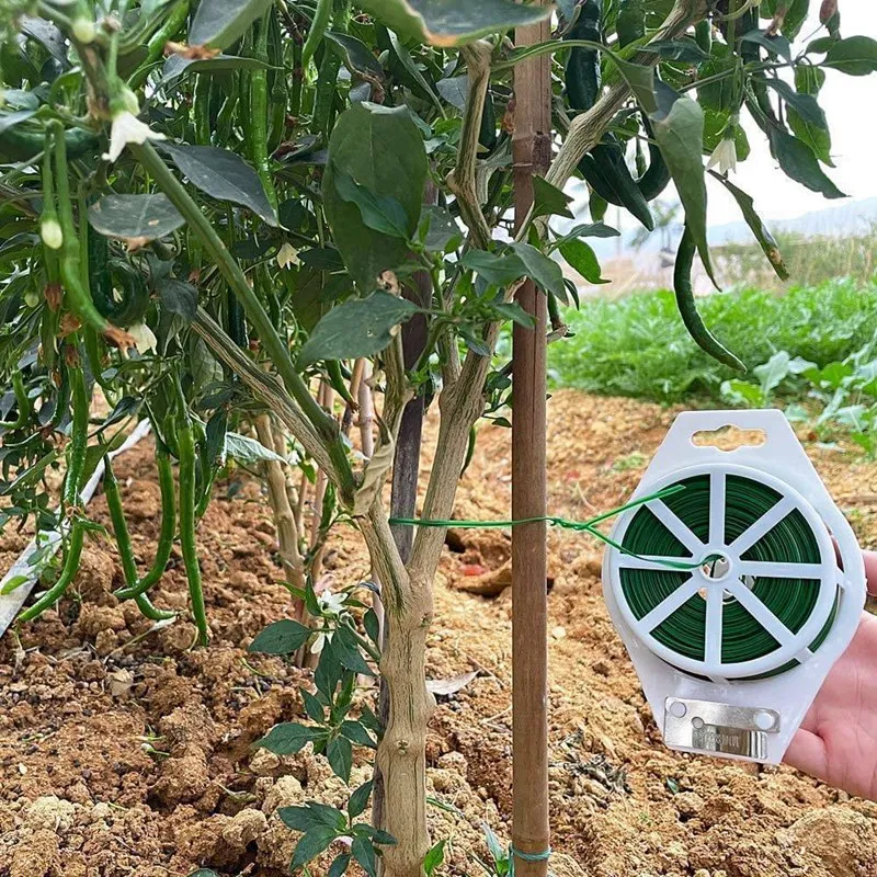 200M Plastic Plant With Cutter Secure Vines Garden Ties Plant Support Gardening And Home And Office Use