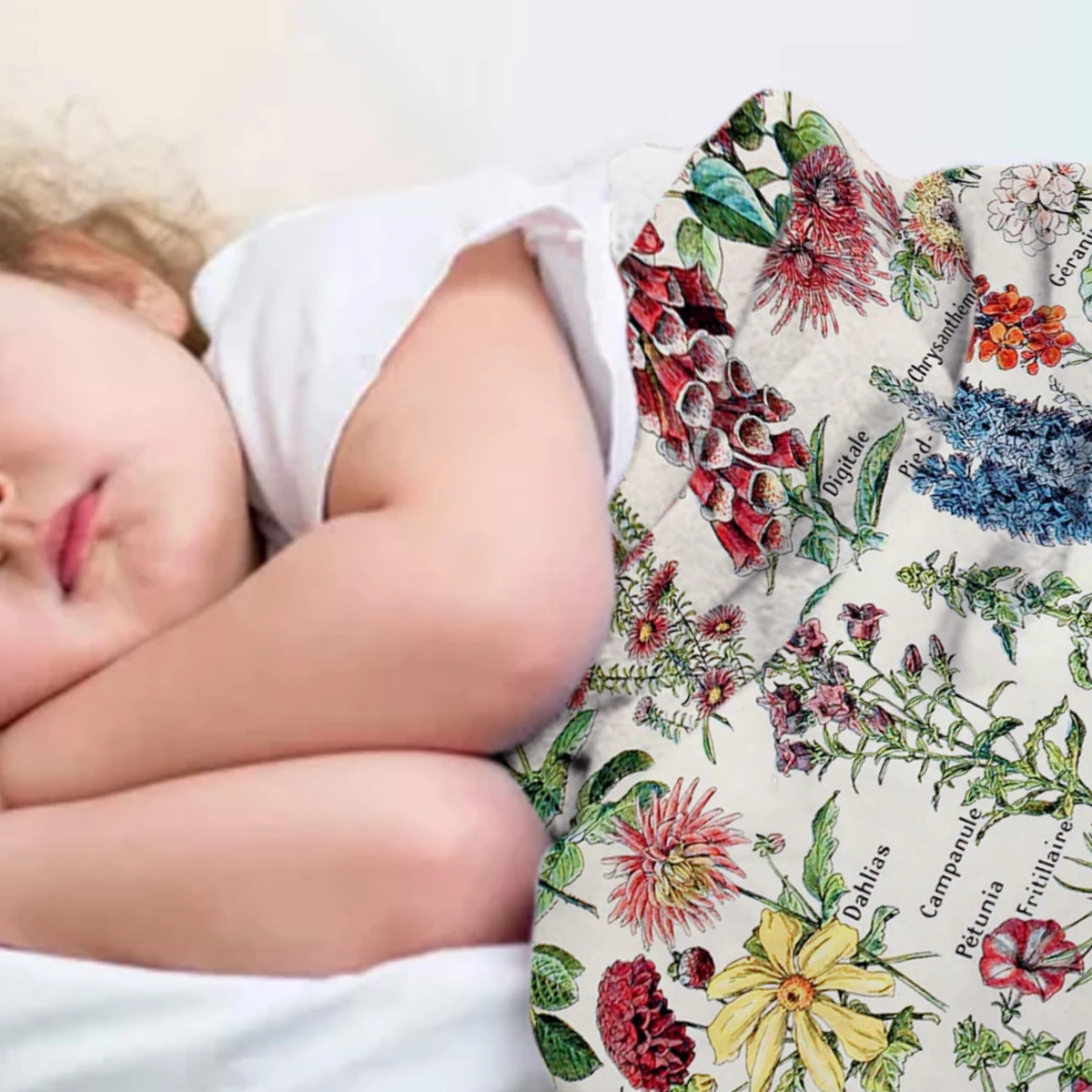 Adolphe Millot Fleurs Pour Tous ������ ��Ƽ�� ������ ������ ���, ������ �ؼ��� ���, �ö��� ���