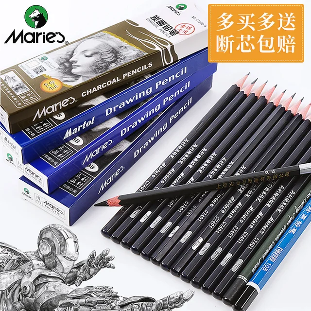 Professional Charcoal Pencils Drawing Set - 13 Pieces (2H, HB, B, 2B, 3B,  4B, 5B, 6B, 7B, 8B, 12B, 14B) Charcoal Pencils for Drawing, Sketching