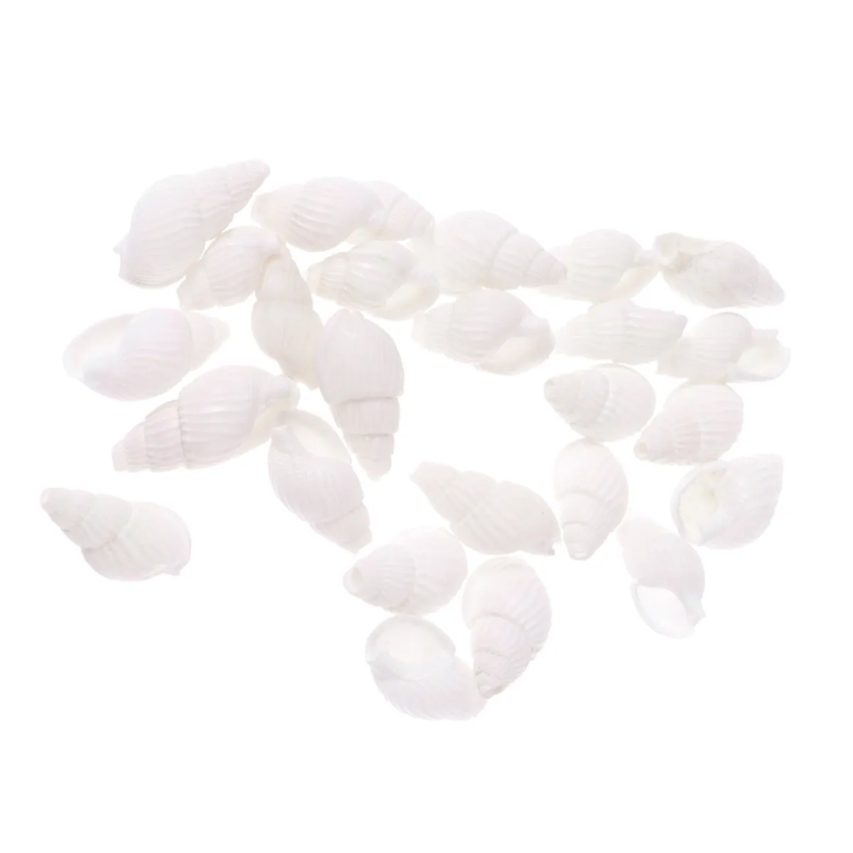150Pcs 우아한 조가비 껍질 DIY 액세서리 일상 착용을위한 자연 바다 테마 귀걸이 목걸이 파티 웨딩 공예 쉘