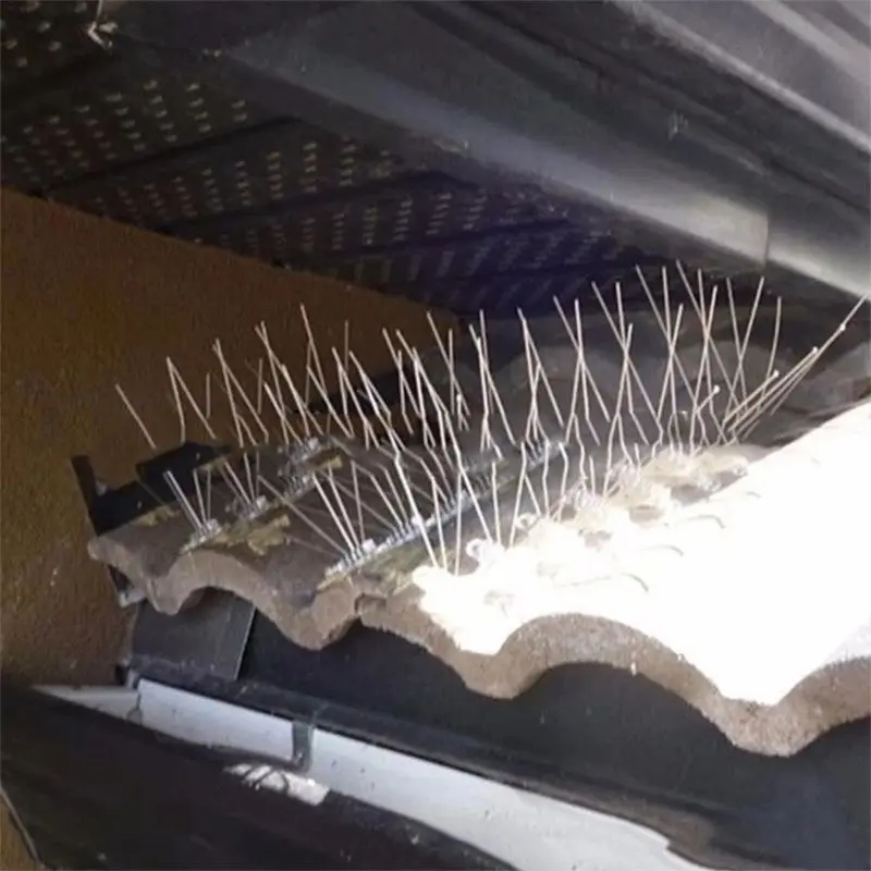 

2 Sets Stainless Steel Bird Spikes Anti for Pigeon Tool Fence Garden