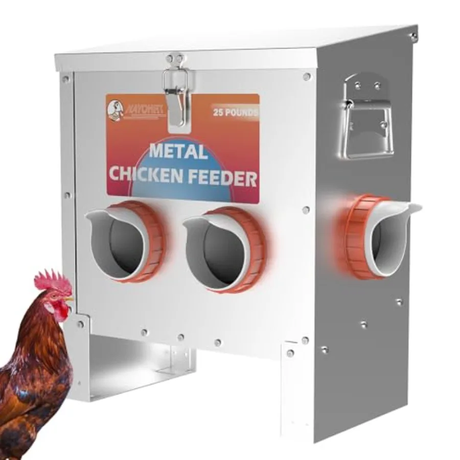 Automatic Chicken Feeder No Waste 25 Pounds Metal Poultry Feeder with Latch and Handle for Chickens Bantams Pheasants Poultry C