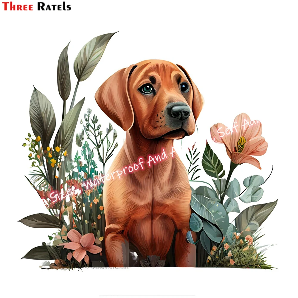 

Three Ratels M76 Rhodesian Ridgeback Clipart Sticker For Led Bmw E46 Passat B6 Car Accessories Decoration Decals