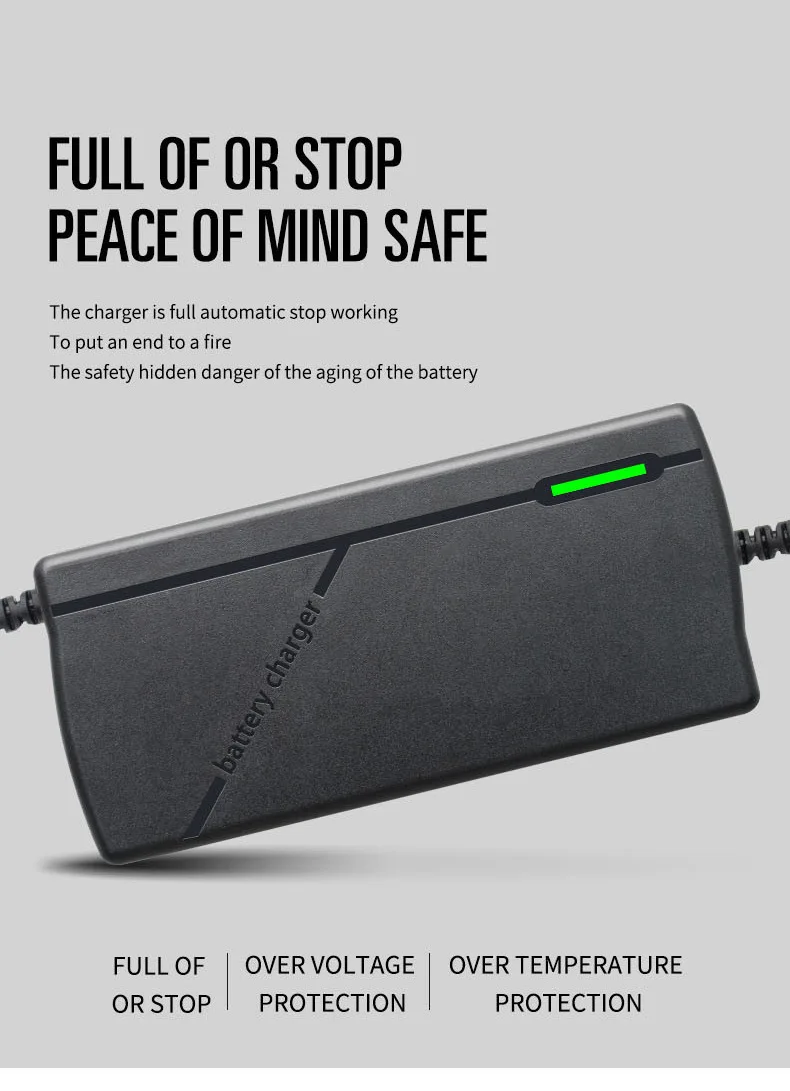 High-performance multi-voltage lithium battery smart fast charger with EU plug
