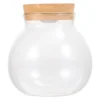 Micro Landscape Glass Bottle Vase Mouth Ball Moss Vase Hydroponic Terrarium Container Fish Tank Bottle With LED Light 1
