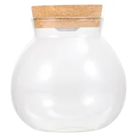 Micro Landscape Glass Bottle Vase Mouth Ball Moss Vase Hydroponic Terrarium Container Fish Tank Bottle With LED Light 1