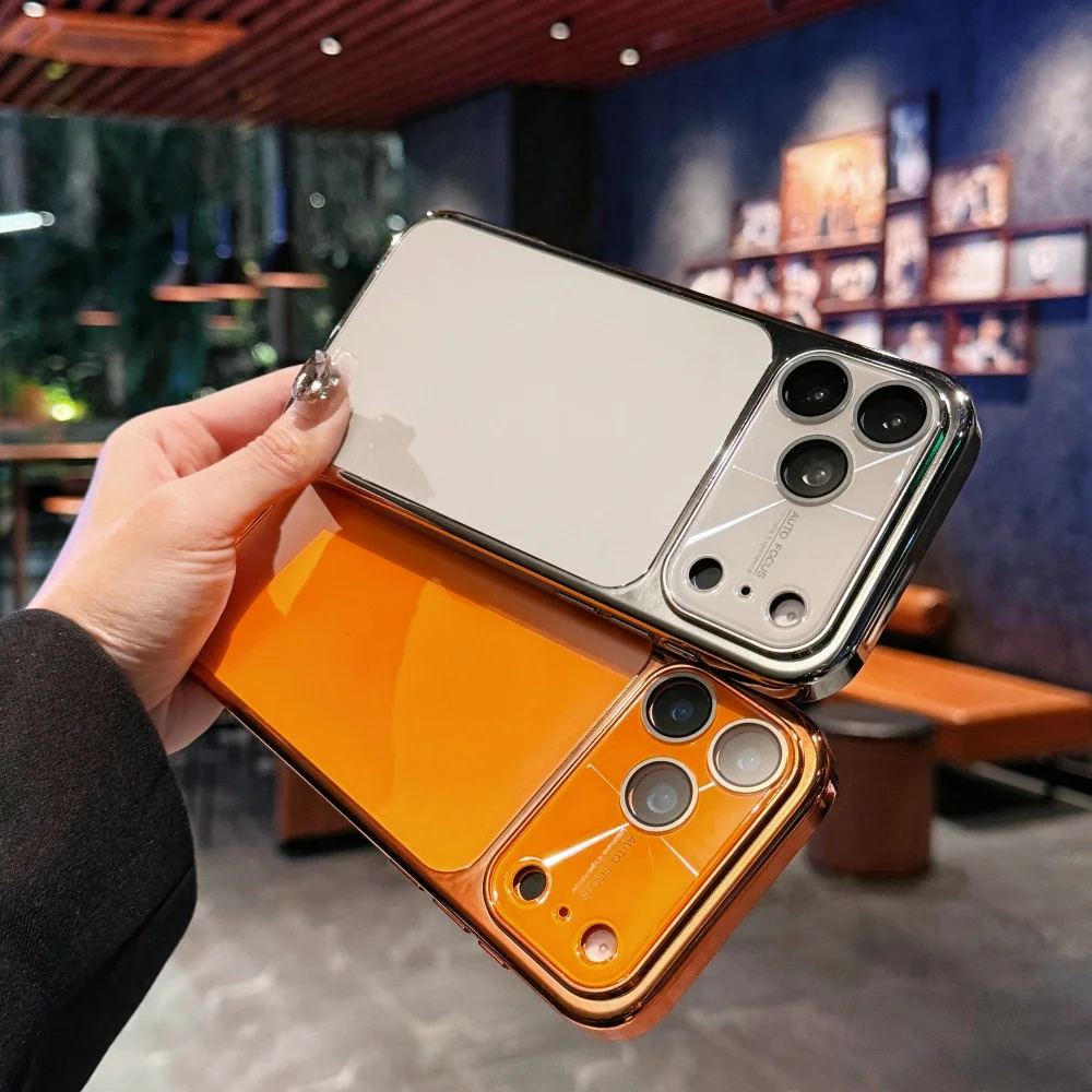 Luxury Plating Frosted Slim Phone Case with Color Frame Back Cover