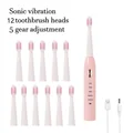 Pink 12head