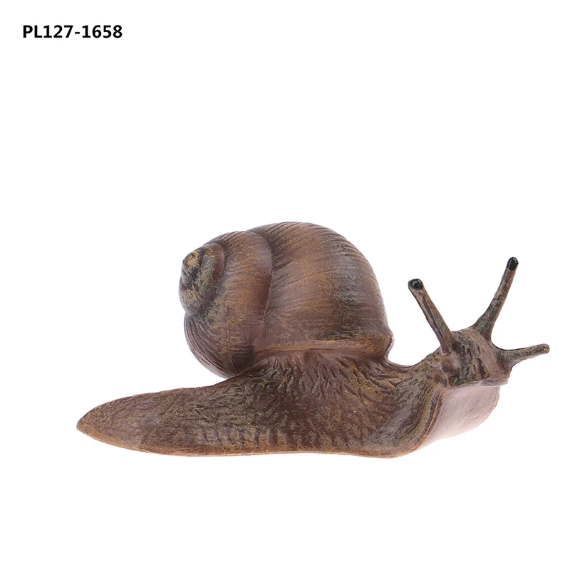 1 pcシミュレーション動物昆虫モデルミニ動物カタツムリ成長サイクル