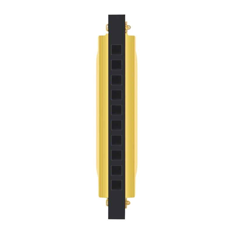10Ȧ 20 ϸī 罺  ̸    , ʺ