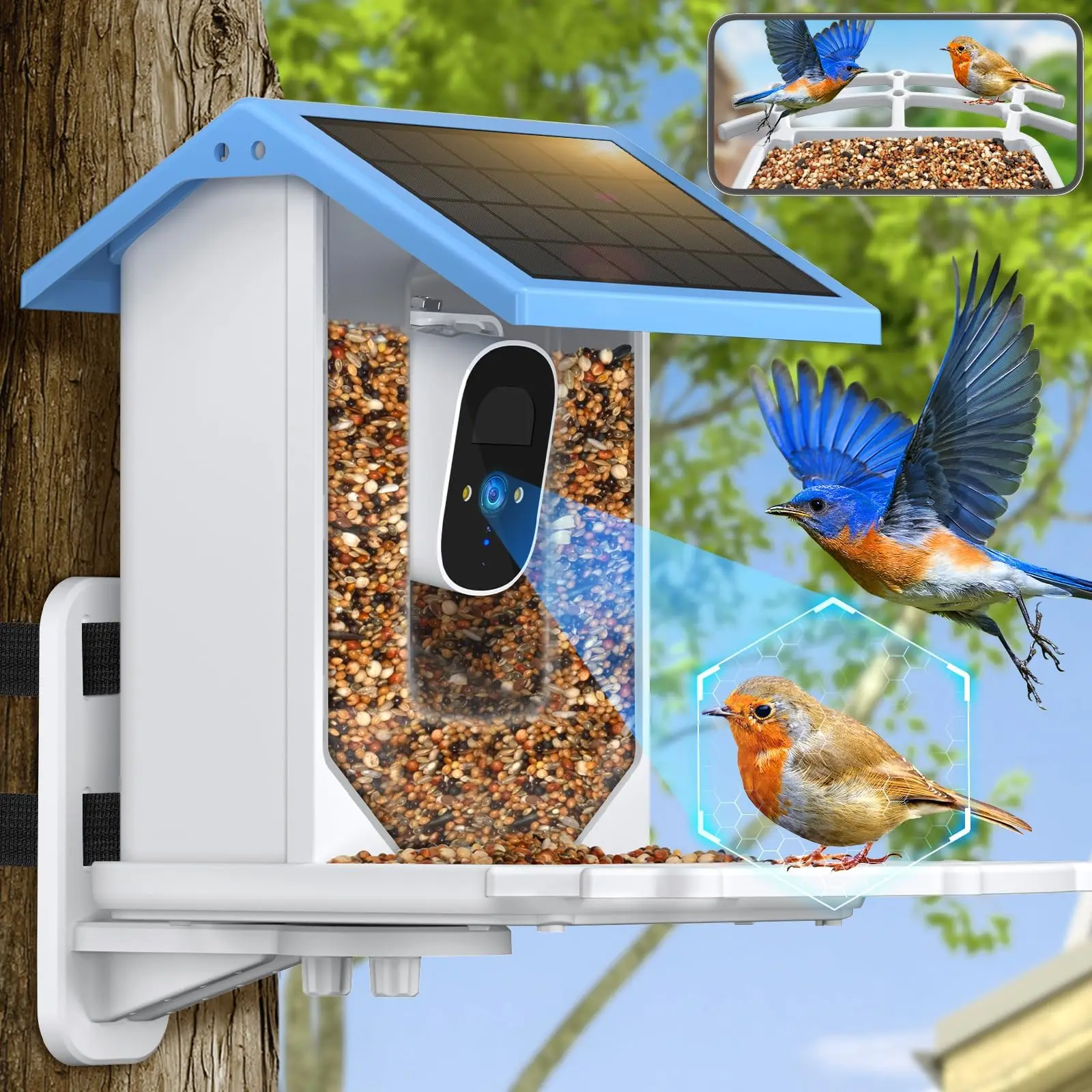 Mangiatoia Intelligente Per Uccelli Con Fotocamera AI Solare 1080p - WiFi 2.4GHz - Riconoscimento Specie E Scheda 64GB