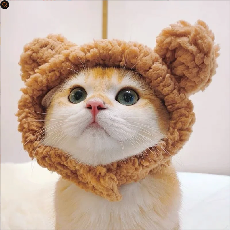 Cute Bear Shaped Cat Hat, Plush Warm Pet Head Cover, Cat Headgear