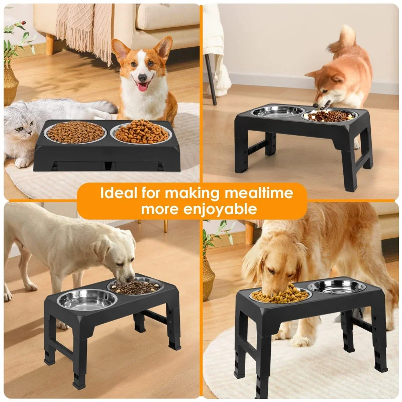 Pet Feeder Bowls Double Stainless Steel (Set of 2) - Removable Raised  Feeding Station Tray Dog Puppies Animal Food Water Holder Container Dish  Table Dinner Set with Elevated Stand (Blue) 