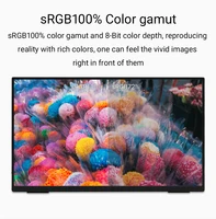 ZSUS 18-Inch 1080P 100Hz 100%sRGB Portable Monitor 16:9 HDR 350cd /M² For XBox PS4 / 5 Switch Cell Phone PC Loptop Extension - Image 3