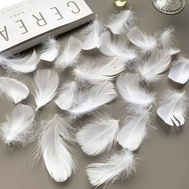 4-8cm Feathers Decoration 100pcs For Crafts Small Bulk Goose Chicken Dream Catcher Making Massage House Salon