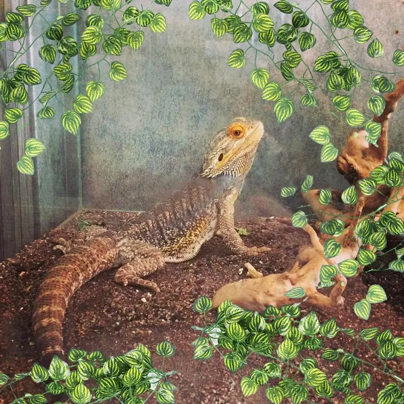 Artificial Vine Reptile Lizards Terrarium Decoration Chameleons Climb Rest Plants Leaves Waterproof Decor For Snake Frog Turtle