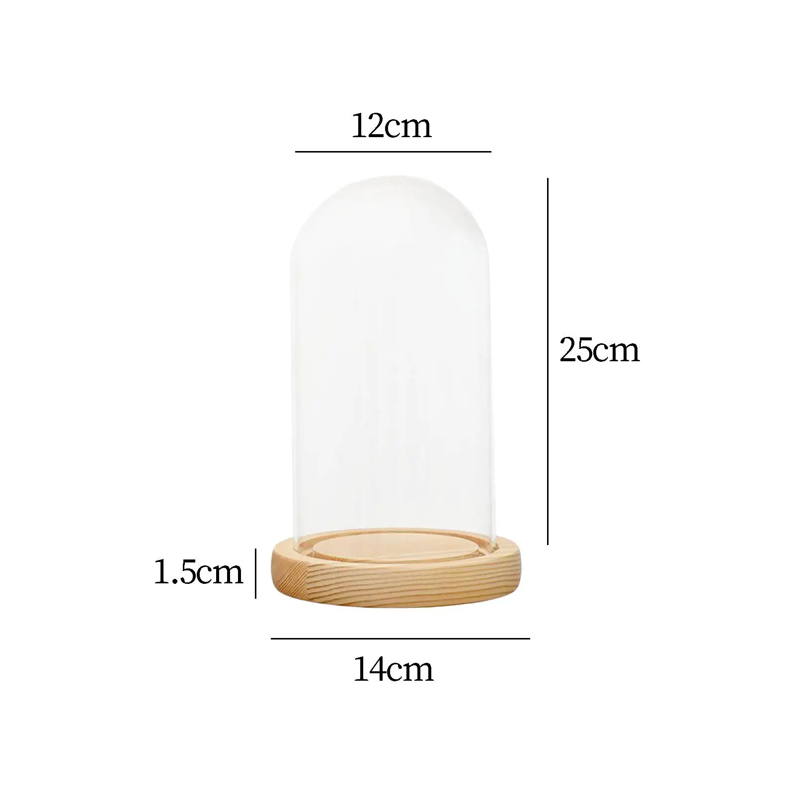Glass Display Dome Cloche Bell Jar with Wooden Base Round for Dining Table Nightstands Home Decor
