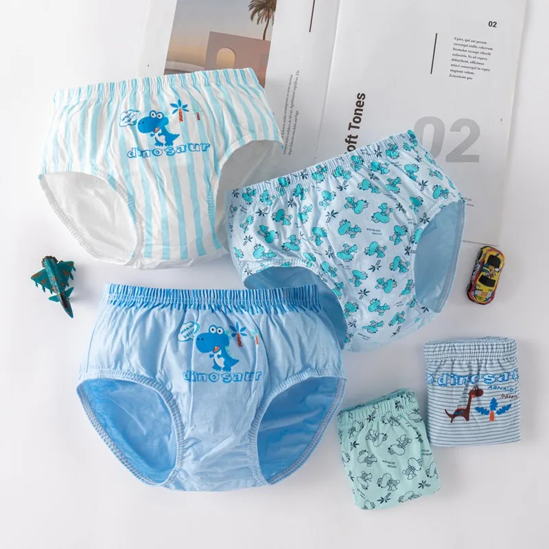 Boys Dinosaur Underwear Set 4