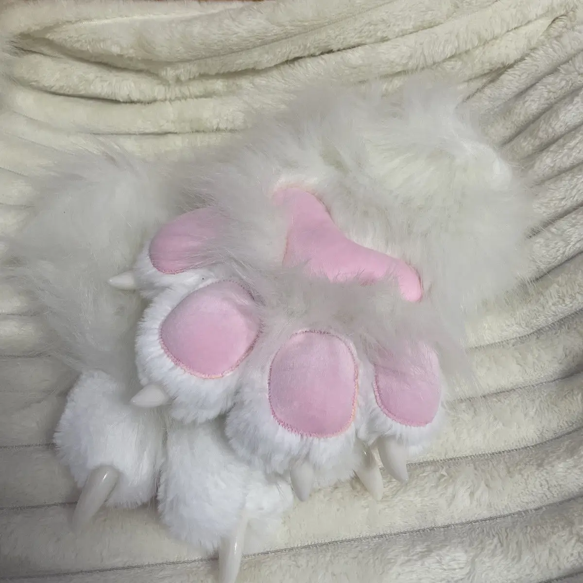 Kig Paws