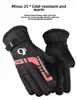 Autumn Winter Ski Warmth Motorcycle Fleece Windblock Cold Resistance Outdoor Riding Driving Gloves for Men Enhanced Padding 5