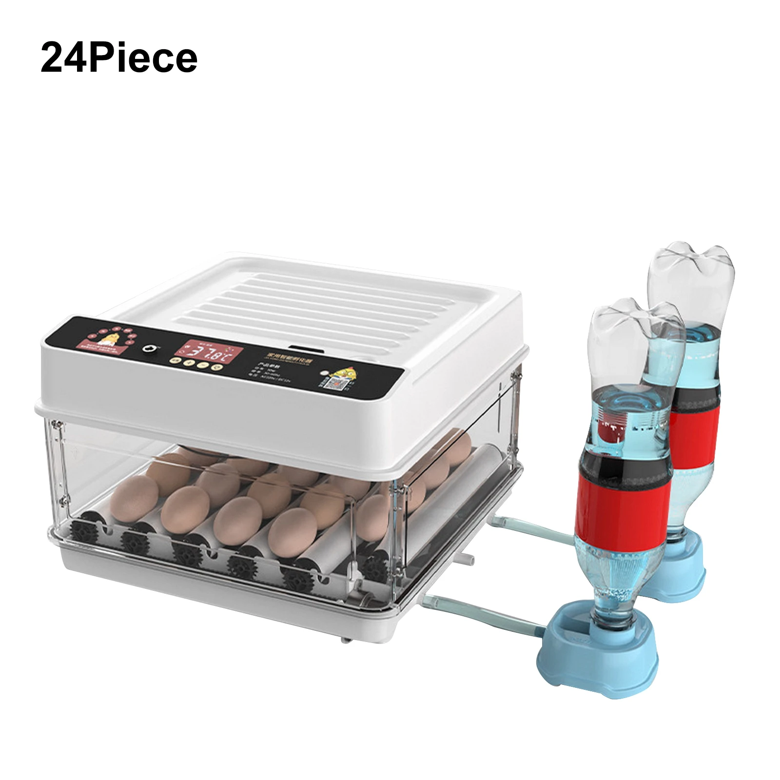 24 eggs