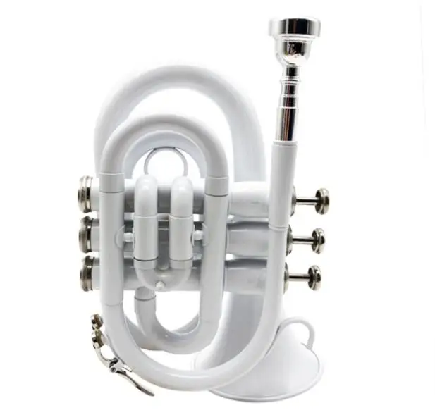 Cheap Bb Golden colorful pocket Trumpet for Sale