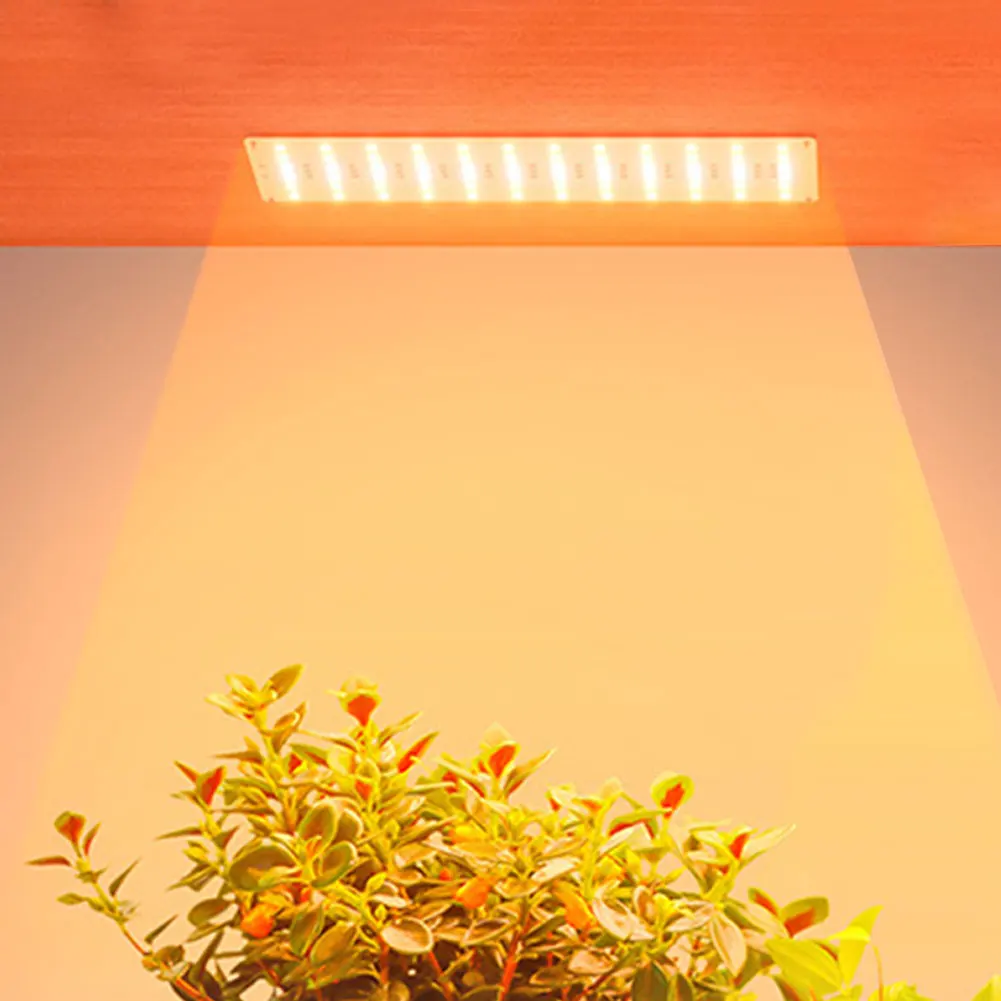 S4ba6be88a1984e78b5e5268c21aa20c7a