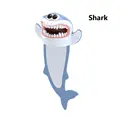 Shark