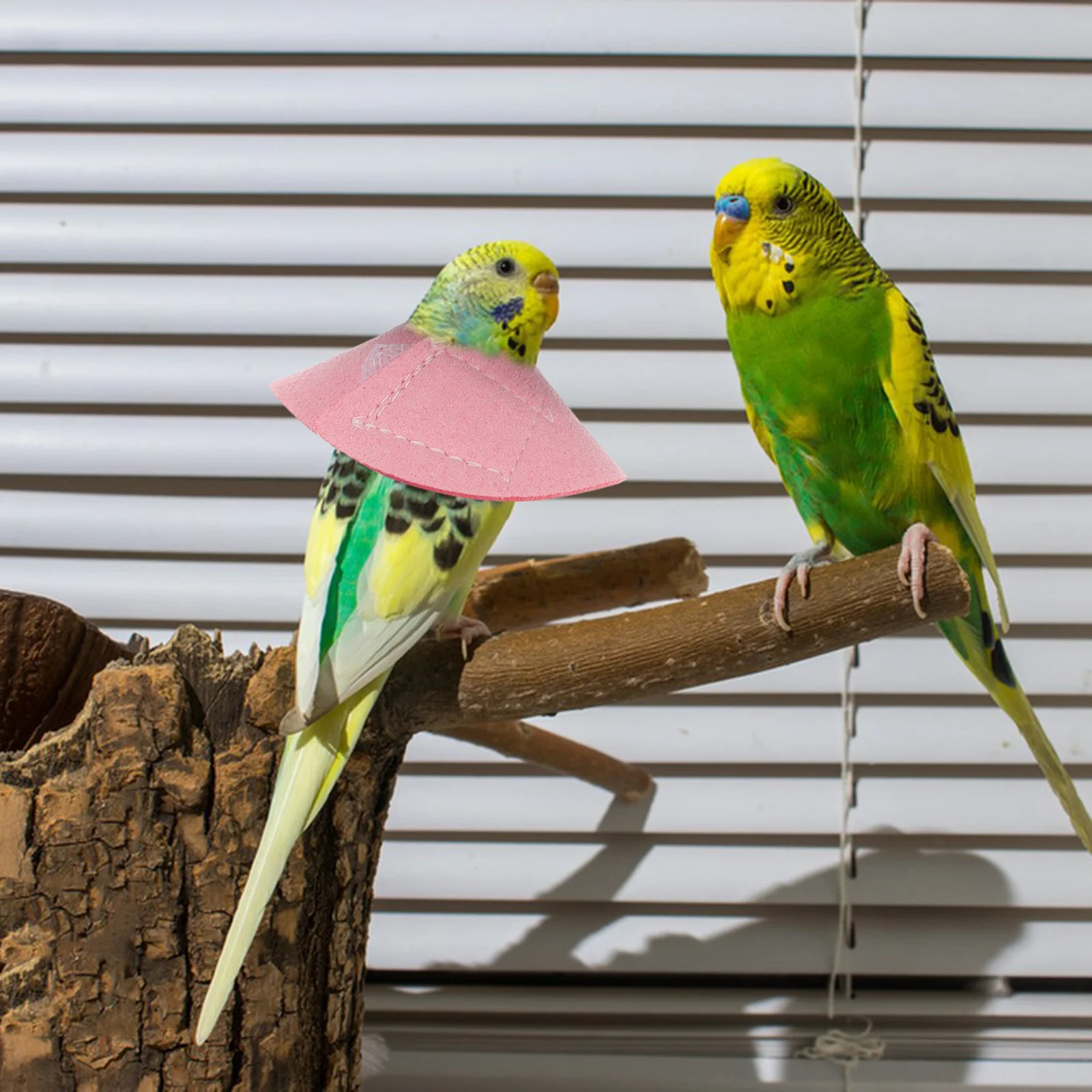 Parrot Plucking Bird Neck Collar Birds Protective Recovery Anti-scratch Baby Pet