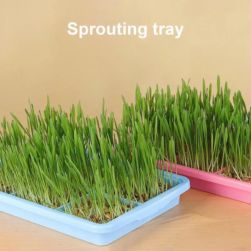 Seedling Sprouter Tray Plant Tray Seedling Tray Propagation Tray Large Capacity Wheatgrass Grower Microgreens & Nursery Tray For 3