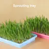 Seedling Sprouter Tray Plant Tray Seedling Tray Propagation Tray Large Capacity Wheatgrass Grower Microgreens & Nursery Tray For 3
