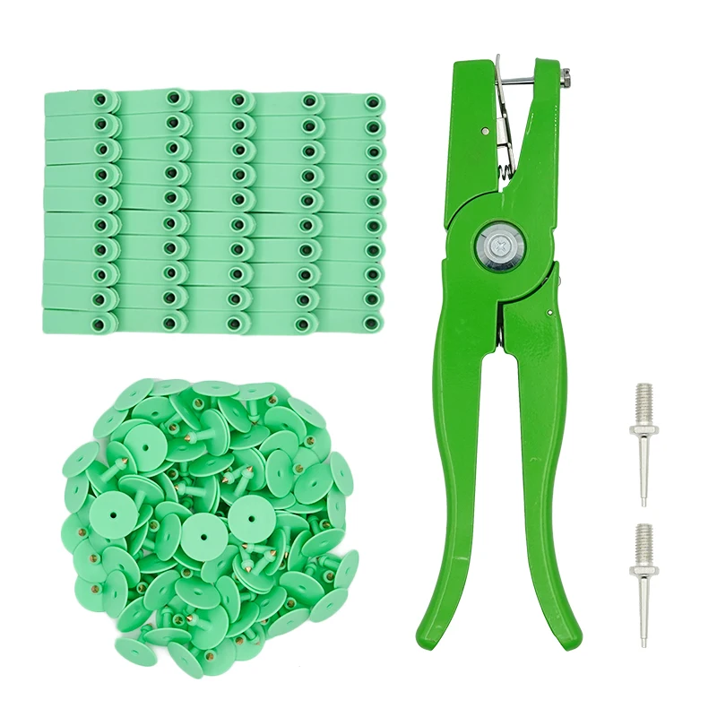 Green no numbers
