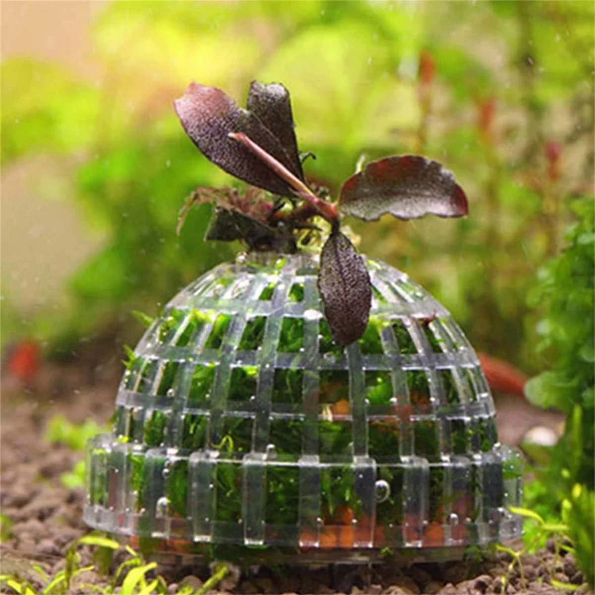 Transparent Aquarium 2-in-1 Water-sinking Ball Hemispherical Moss Ball Fish Tank Live Plants Filter Aquatic Ornamental Goods 1Pc fish tank ornaments,fish tank decorations,aquarium ornaments