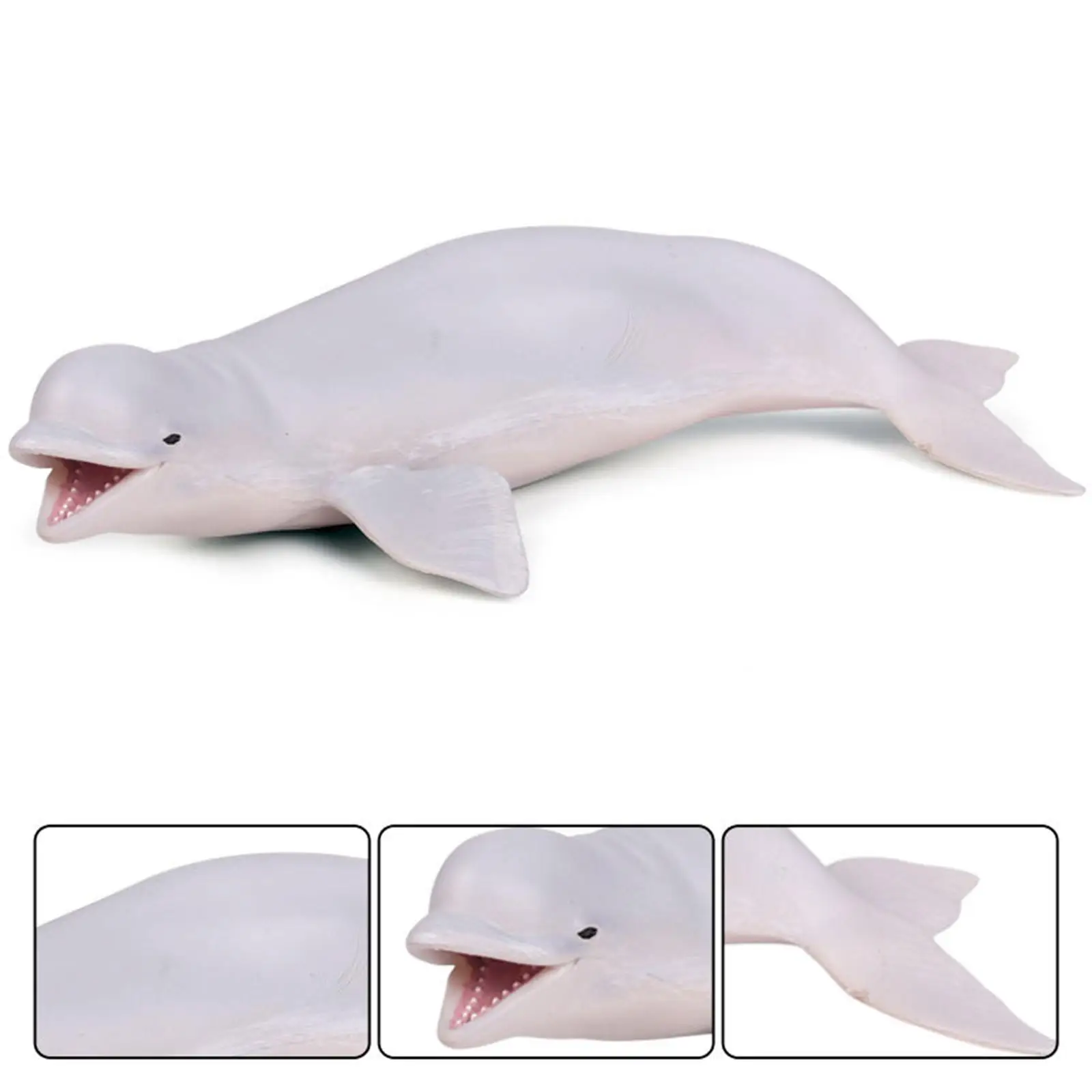 Sea Animal Whale Toy Figure Simulation Marine Whale Toy Party Sea Animal Figurine Education Project for Kid Children Girl