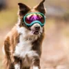 ATUBAN Dog Goggles Anti UV Strong Impact Resistance Adjustable Elastic Puppy Large Breed Dog Goggles Breathable Pet Sunglasses 3