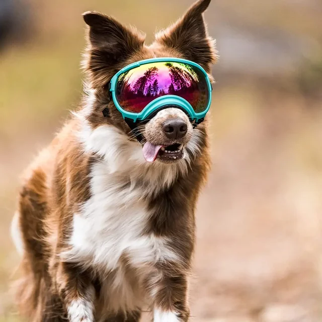 ATUBAN Dog Goggles Anti UV Strong Impact Resistance Adjustable Elastic Puppy Large Breed Dog Goggles Breathable Pet Sunglasses 3