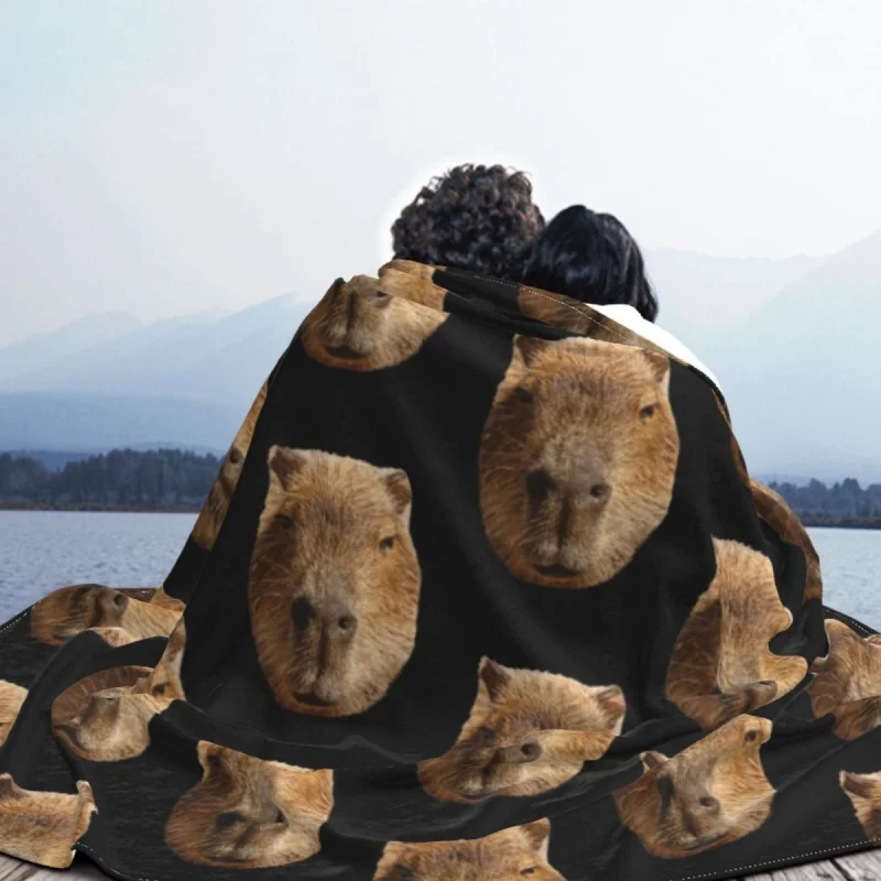 Capybara-�ܿ�� �β��� ���� �ö��� ���, ħ�� ���� ķ�� �繫�� �� ���