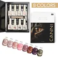 Ak cat eye gel kit