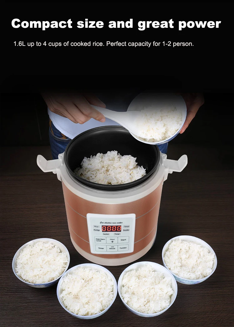 Mini Rice Cooker 12-24V 220V Multifunction Electric Steamer home Appliance Portable for Camping RV Camper Gold Russian Menu 3