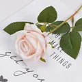 Champagne rose