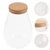 Micro Landscape Ecological Bottle Terrarium Plants Glass Containers Decor Hydroponic Propagation Station DIY Betta 4