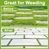 Wire Brush Cutter Trimming Head 6 Inch 3/6 Blade Lawn Mower Trimming Replacement Head for Cordless Trimmer Rotary Weeder Head 6