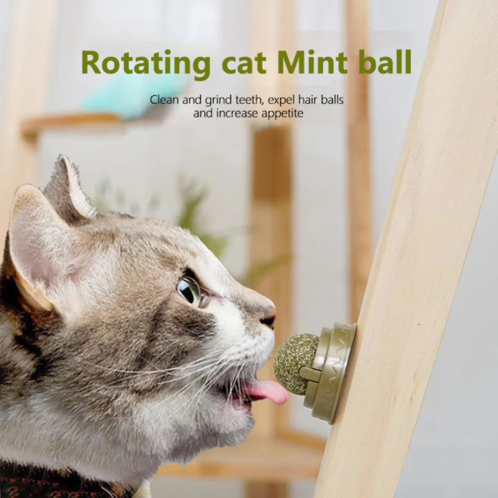 Catnip Cat Wall Ball 2
