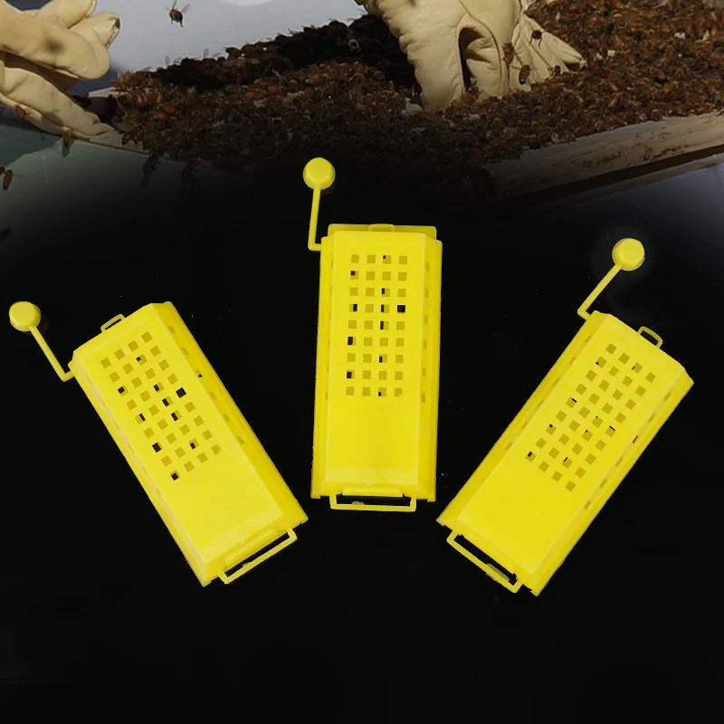10Pcs Queen Bee Post Cage with Leg Plastic Yellow Catcher Apiculture Device Isolation Beekeeping Transport Cages Beekeeping Tool
