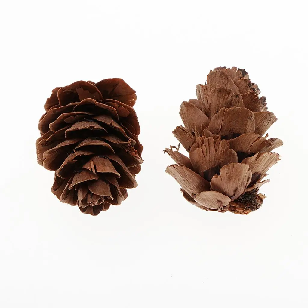 Natural Pine Cones DIY Bulk Mini Ornaments for Christmas Decorations Vase Filler and Table Accents Natural Pine Cones DIY Bulk Mini Ornaments for Christmas Decorations Vase Filler and Table Accents