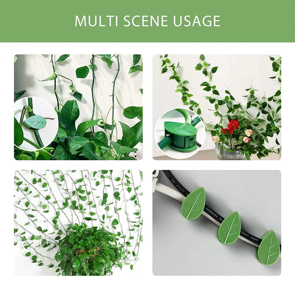 Plant Clips for Climbing Plants(Pack of 60), Stems Upright, Vines_OFSS