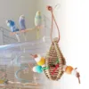 Bird Parrot Chew Toy Bird Chew Hang Toys Interactive Toys Turntable Stand Playing Cage Accessories Pet Supplies 2