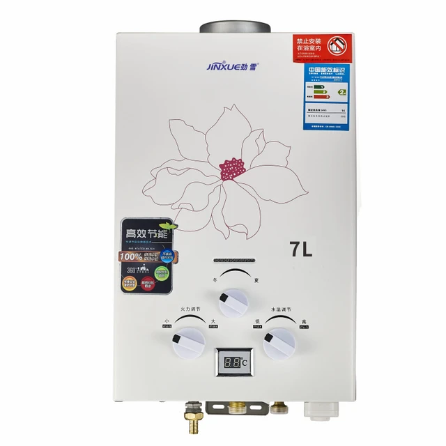 Gas Water Heater Manufacturer Stove-Piped Water Heater Wholesale Liquefied  Gas Natural Gas Hot Water Dispenser Household - AliExpress