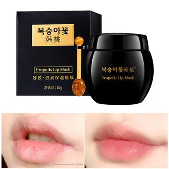 프로폴리스 립 케어 수면 마스크, 야간 수면 유지 보습, 입술 글로스, 영양 보습 영양 케어