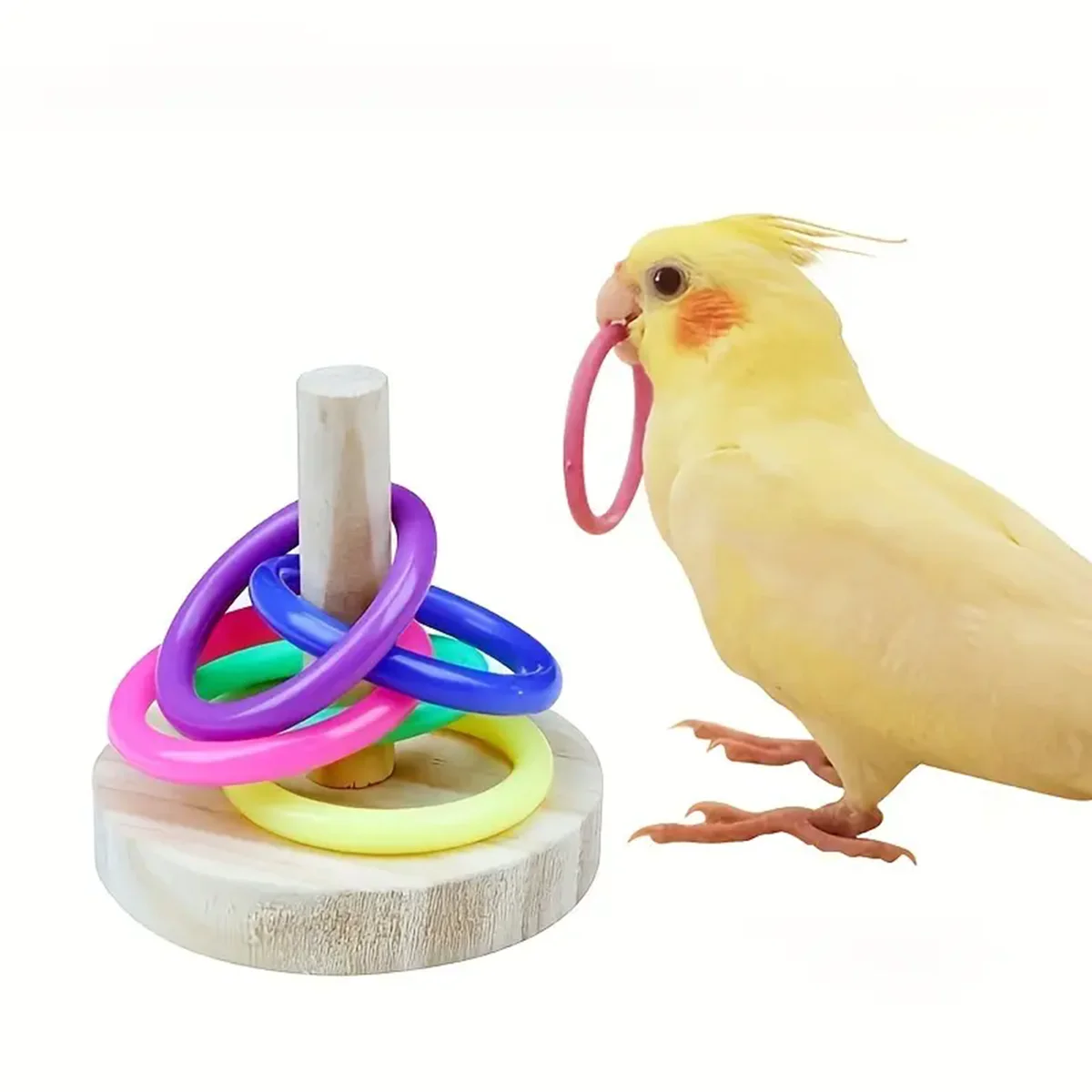 1pc Bird Training Ring Toy Parrot Educational Toys Training Interactive Bird Supplies Toys Random Color игрушки для попугае